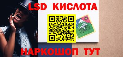 соль ск Новодвинск