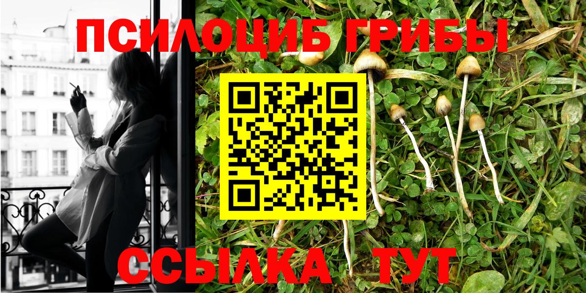 Ульяновск  Галлюциногенные грибы Cubensis  Вход с VPN 